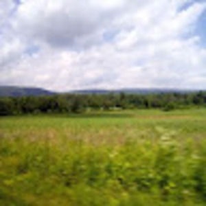 Meet your Posher, Skylar